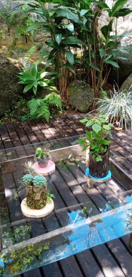 Kitnet E Suite Morada Aguiar - Chale Abraão Exteriér fotografie