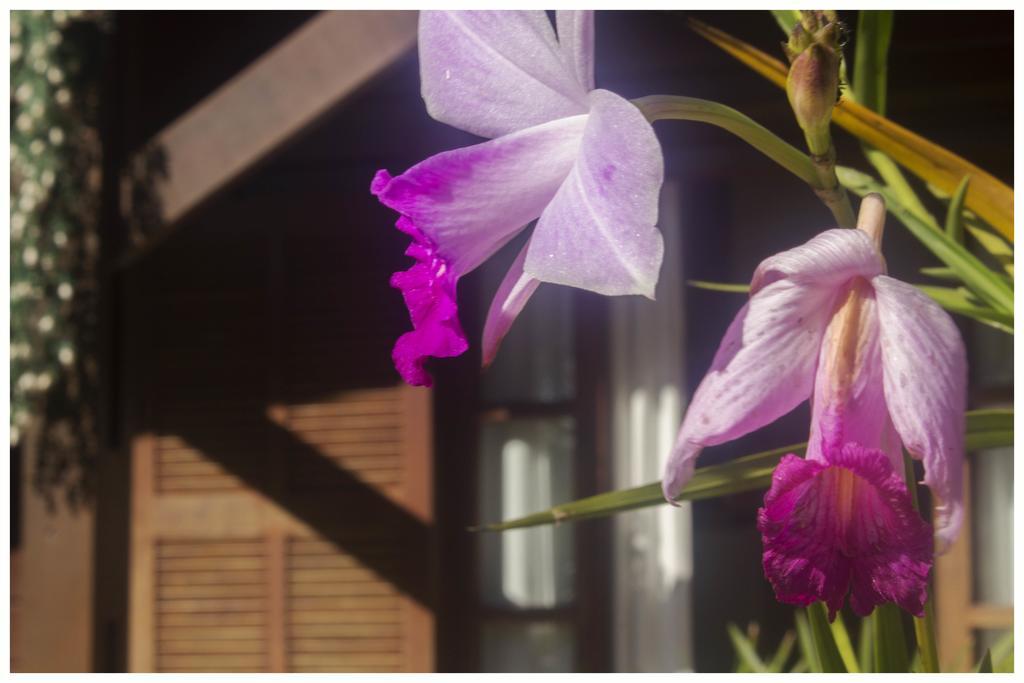 Kitnet E Suite Morada Aguiar - Chale Abraão Exteriér fotografie